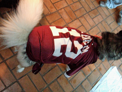 Kema is an Aggie 03.JPG